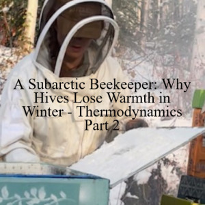 A Subarctic Beekeeper: Why Hives Lose Warmth in Winter - Thermodynamics Part 2