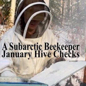 January Checks of the Hives in the Bee Barn