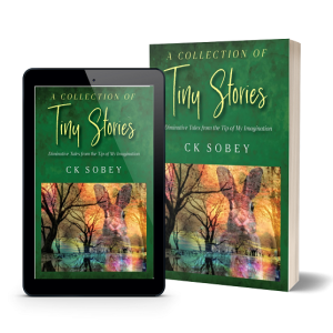 A Collection of Tiny Stories - An Interview with CK Sobey