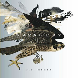 Savagery - An Interview with Author Jessica Mehta