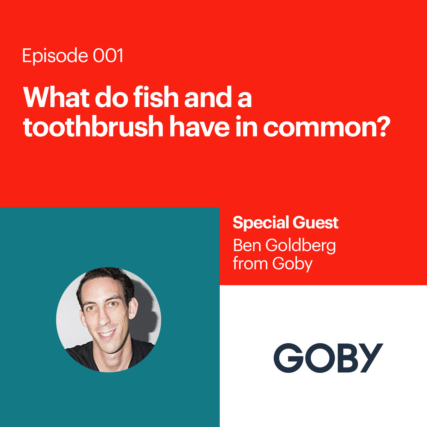 What do a fish and a toothbrush have in common with Ben Goldberg of Goby.