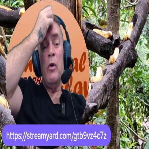 International Flavor on damradio.com with Samuel Trapp - Apr 21, 2025
