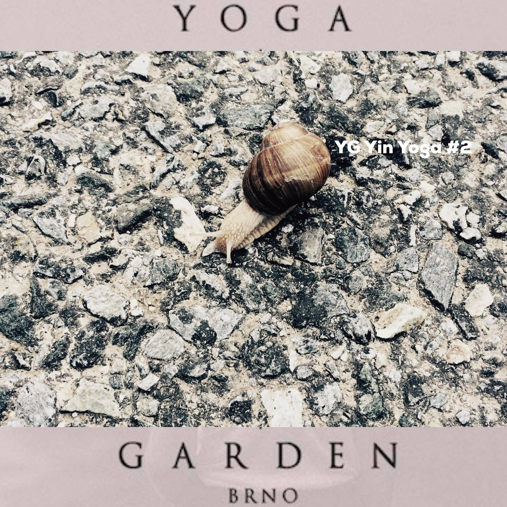 YG Yin Yoga class #2 podcast 07