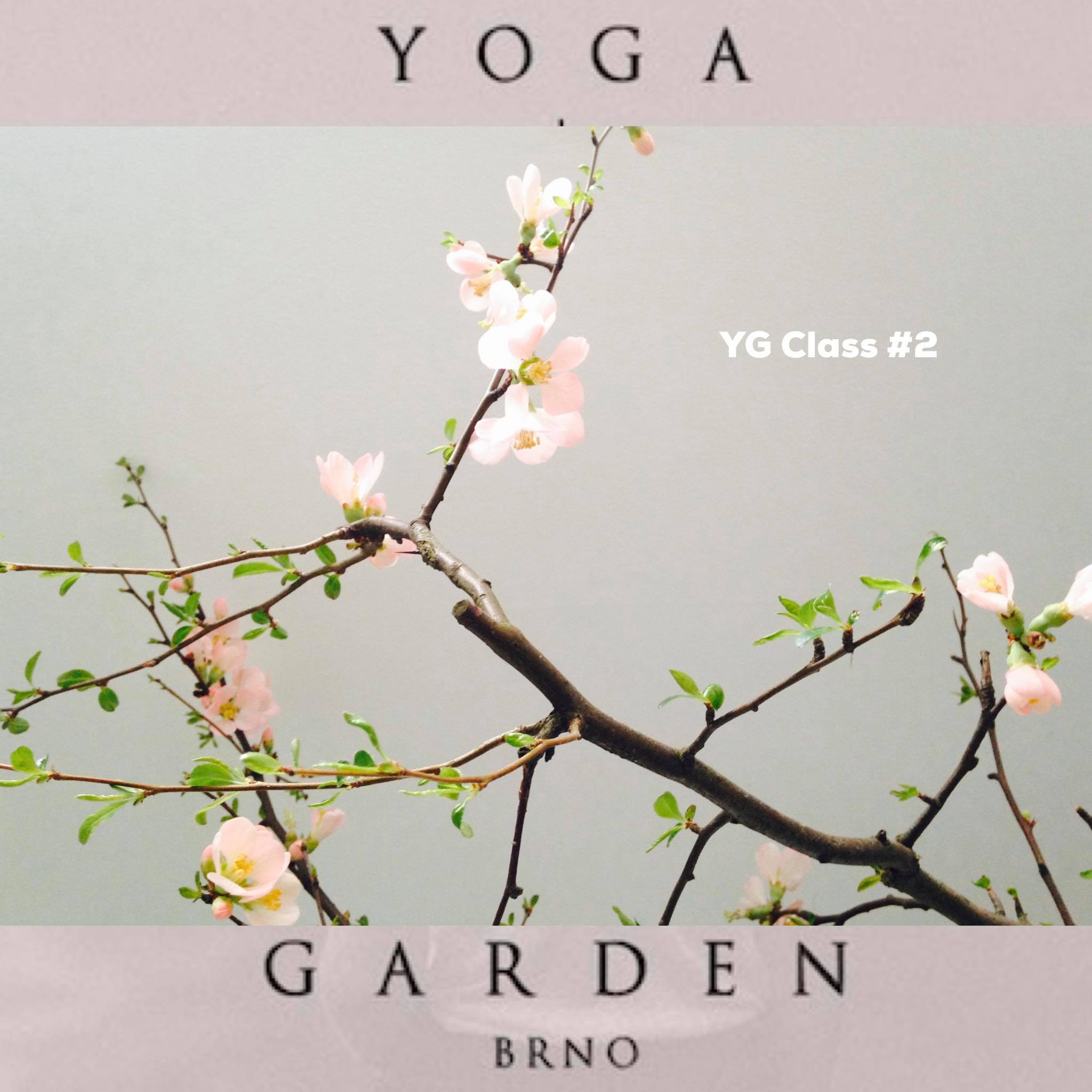 YG Class #2 podcast 08