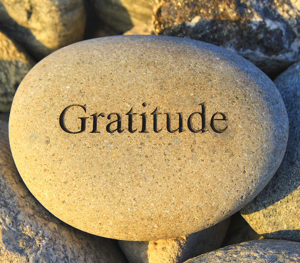 Repost from 2015: Gratitude and why it matters. Your Friend and Neighbors give thanks. This one is good.
