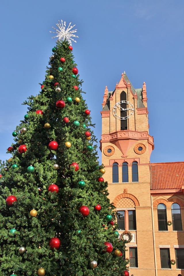 New Pioneers of Downtown Anderson, PAWS to Think about a Pet for Christmas and the power of one local dollar