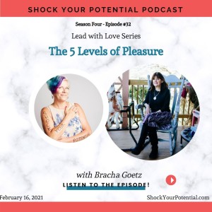 The 5 Levels of Pleasure - Bracha Goetz