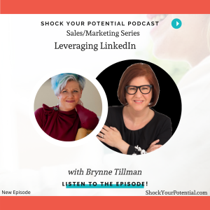 Leveraging LinkedIn - Brynne Tillman