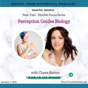 Perception Guides Biology - Cherie Burton