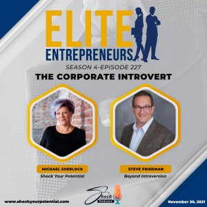 The Corporate Introvert - Steve Friedman