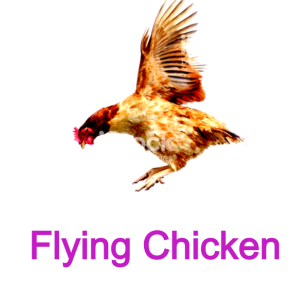 Flying Chicken Podcast #1