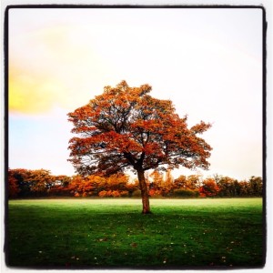 Day one Breath Grounding