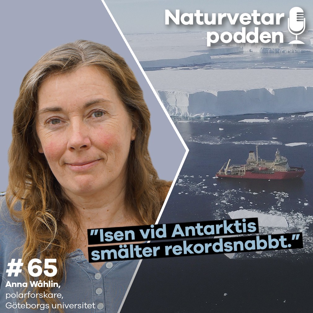 Naturvetarpodden - gör dig lite klokare