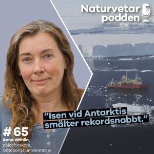 #65 Anna Wåhlin – Glaciären som kan få havet att stiga snabbt