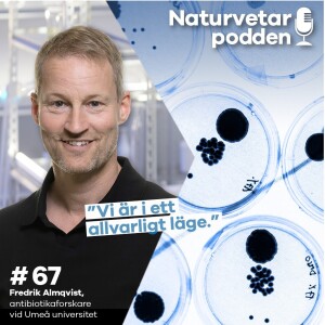 #67 Fredrik Almqvist – Ny antibiotika är på gång