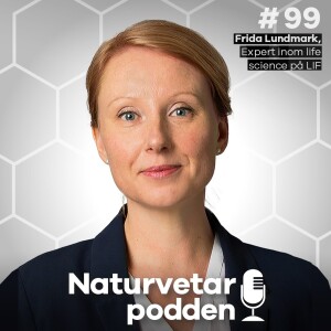 #99 Frida Lundmark – Läkemedel en svensk exportsuccé