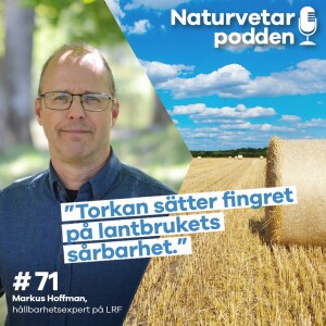 #71 Markus Hoffman – Svensk matproduktion hotas av torkan