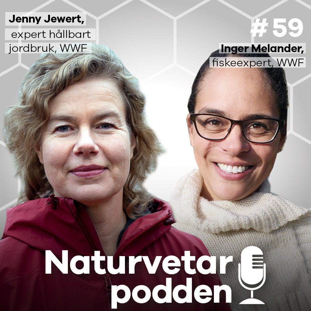 Naturvetarpodden - gör dig lite klokare