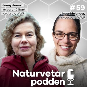 #59 Jenny Jewert & Inger Melander – Drömmen om en ”grön” jul