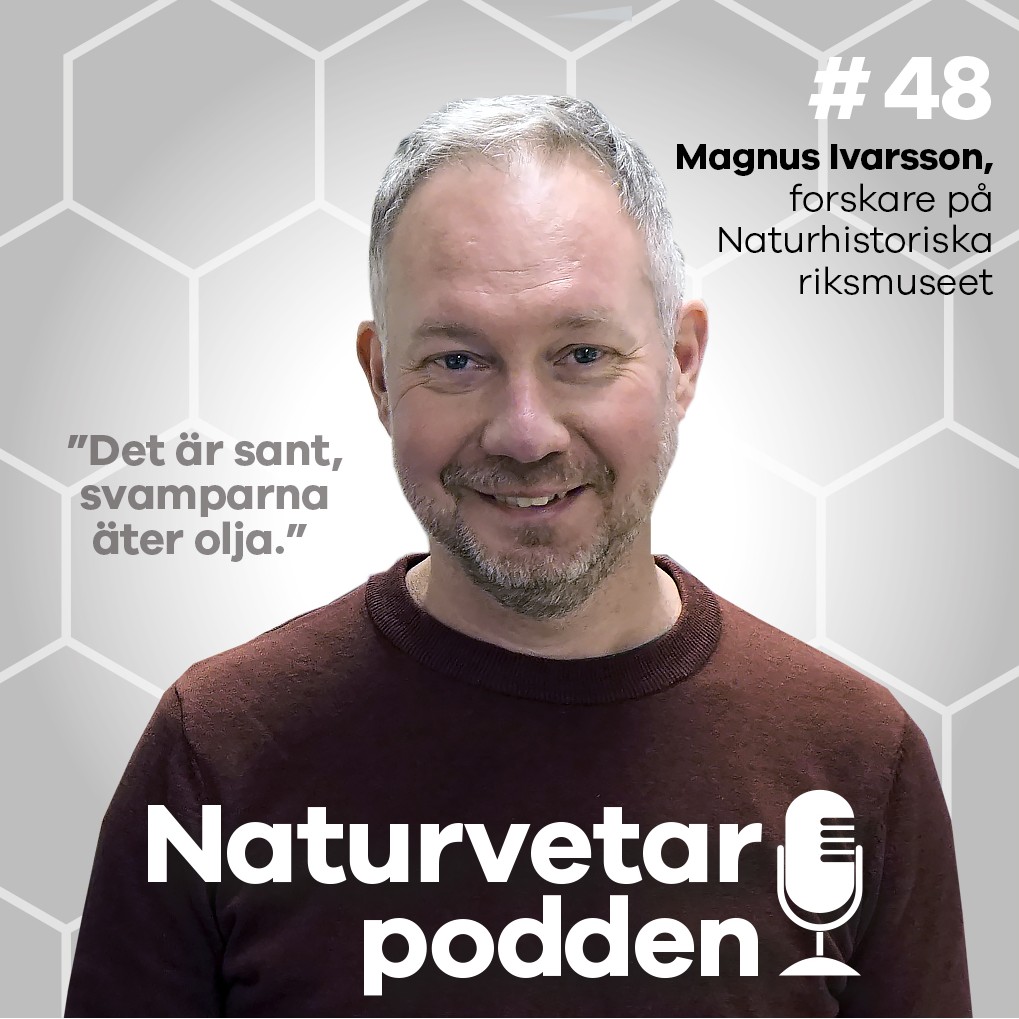 Naturvetarpodden - gör dig lite klokare