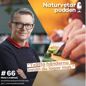 #66 Mats Lindblad – Så skyddar du dig mot salmonella och andra smittor