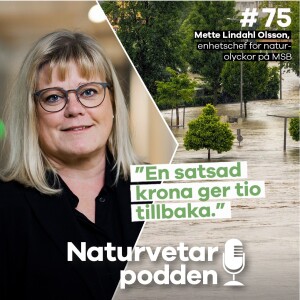 #75 Mette Lindahl Olsson – Det lönar sig att klimatkompensera