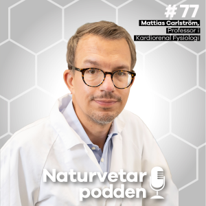 #77 Mattias Carlström – Slår hål på myter om vatten