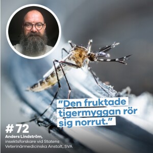 #72 Anders Lindström – Kan vi räkna med myggplåga i sommar?