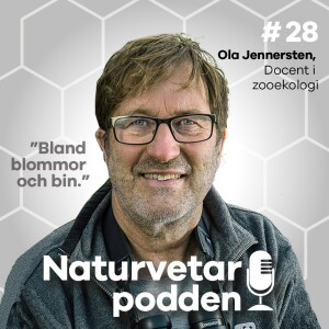 #28 Ola Jennersten - Låt gräset växa och ängarna blomma