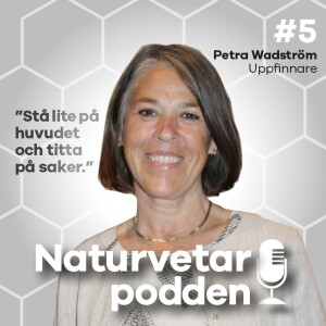 #5 Petra Wadström - The Sun Angel