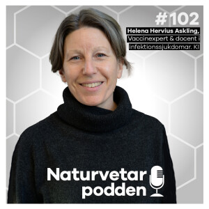 #102 Helena Hervius Askling – Stoppa smittspridningen av mpox i Centralafrika