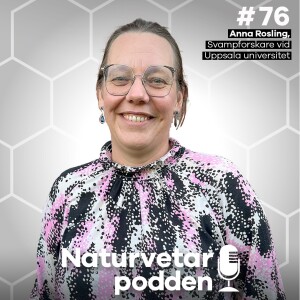 #76 Anna Rosling – Svampar är mer än kantareller och karl johan