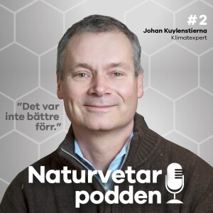 #2 Johan Kuylenstierna - Det var inte bättre förr