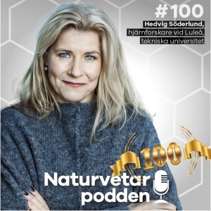 #100 Hedvig Söderlund – Det som är bra för hjärtat är bra för hjärnan