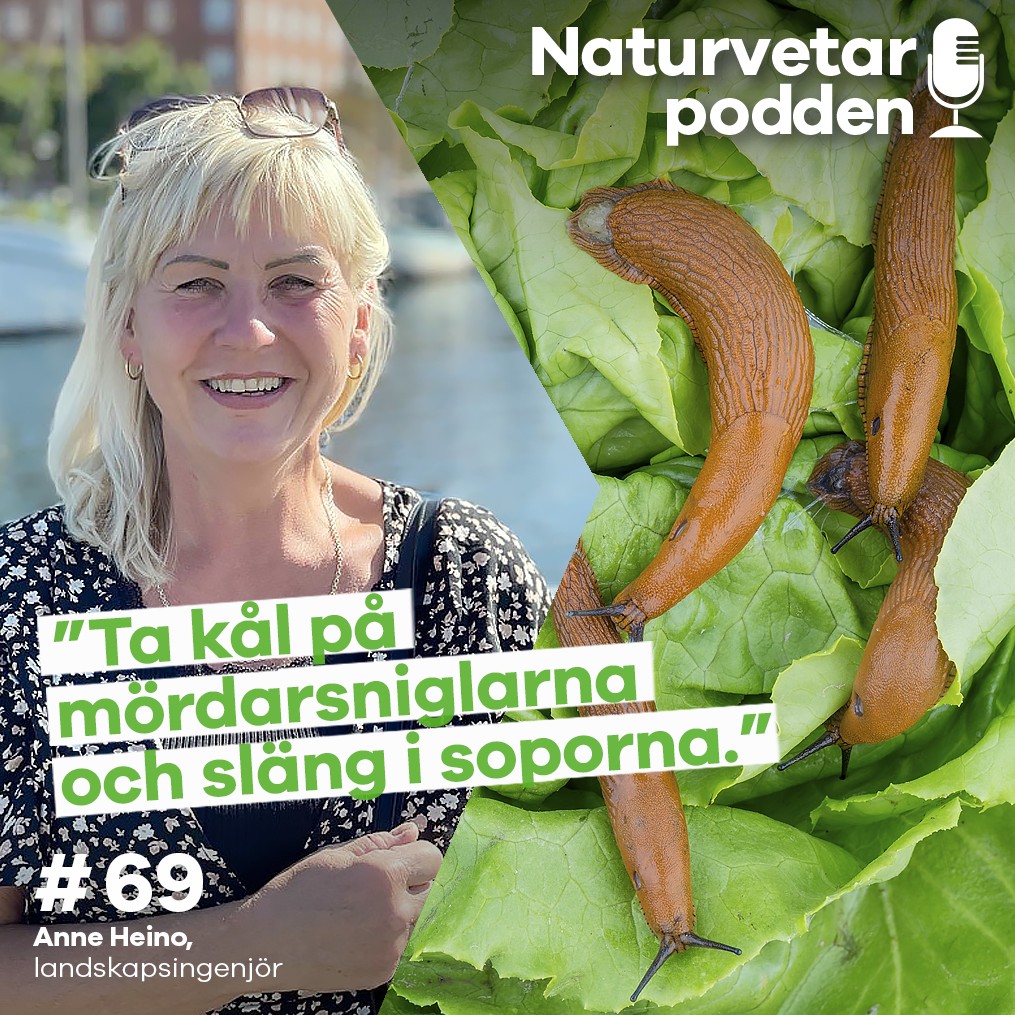Naturvetarpodden - gör dig lite klokare