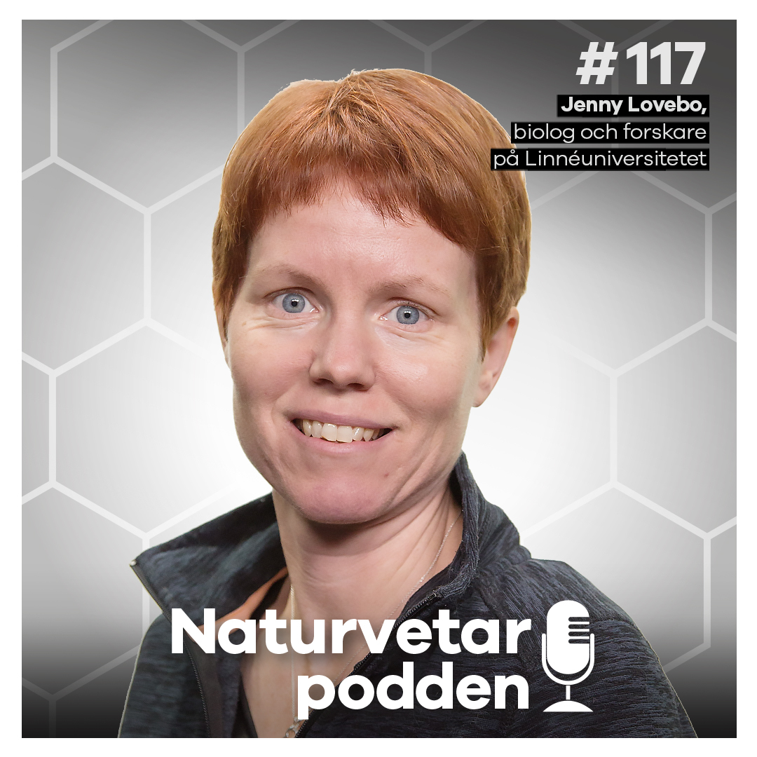 #117 Jenny Lovebo – Gå ner i varv med skogsbad