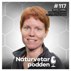 #117 Jenny Lovebo – Gå ner i varv med skogsbad