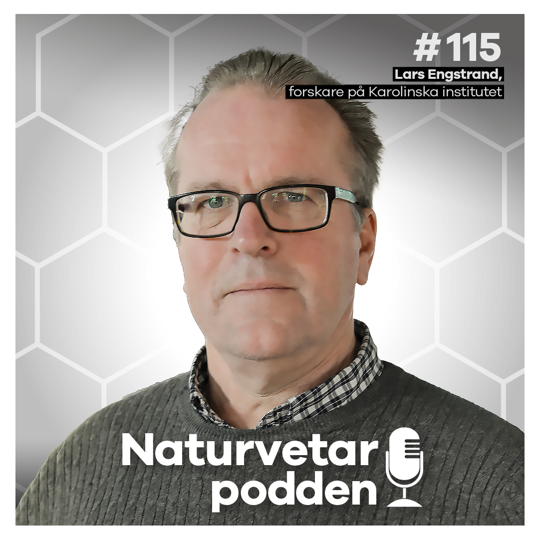 Naturvetarpodden - gör dig lite klokare