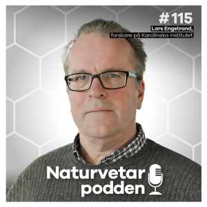#115 Lars Engstrand – Mikrofloran får mer än magen att må bra