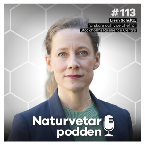 #113 Lisen Schultz – Så fick vi med näringslivet på klimattåget