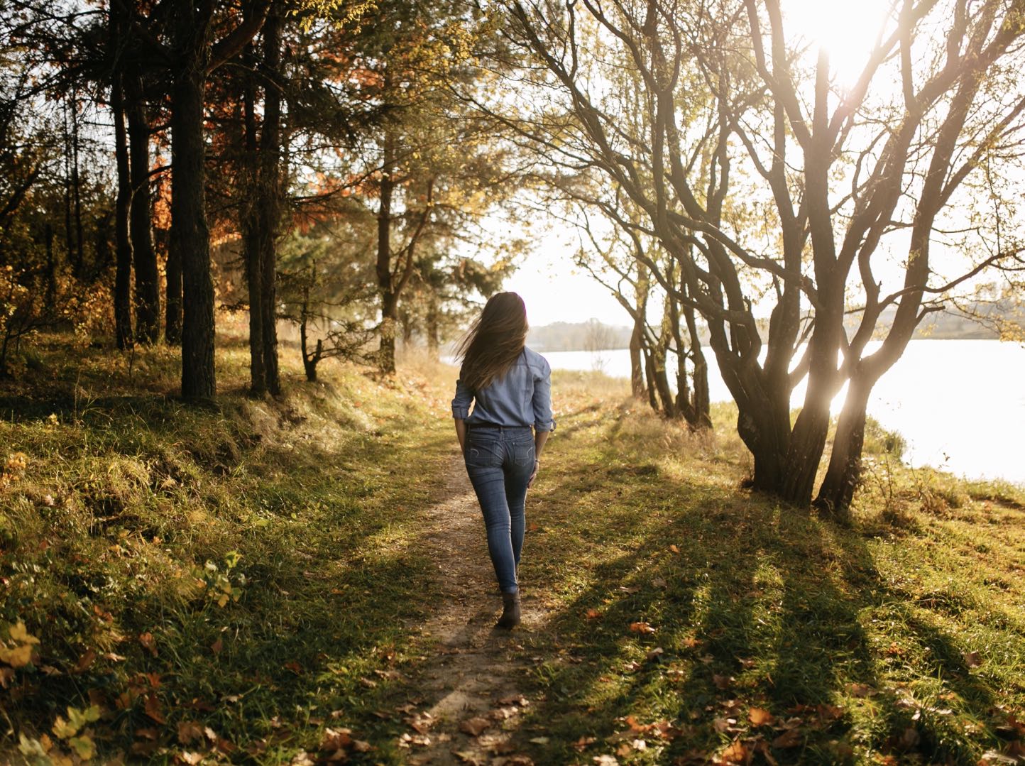 a-walk-in-the-forest-guided-meditation