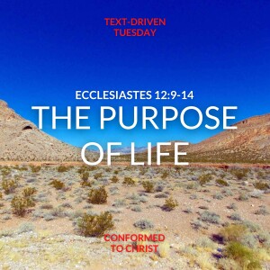 The Purpose of Life — Ecclesiastes 12:9-14: Text-Driven Tuesday