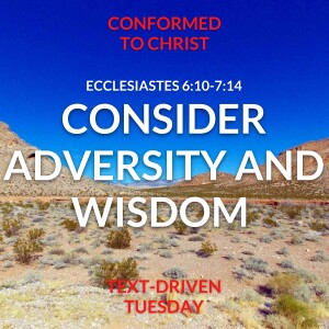 Consider Adversity and Wisdom: Ecclesiastes 6:10-7:14 – Text-Driven Tuesday