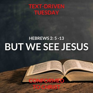 But We See Jesus — Text-Driven Tuesday: Hebrews 2:5 -13
