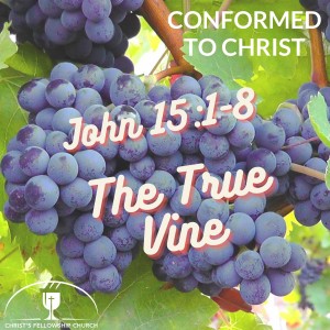 Text Driven Tuesday - John 15:1-8 
