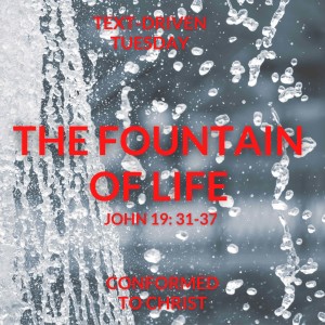 The Fountain of Life — Text Driven Tuesday: John 9: 31-37