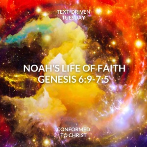 Certain Judgment — Genesis 7:6-24 — Text-Driven Tuesday