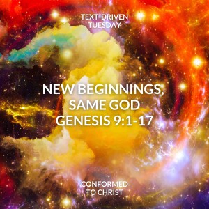 New Beginnings, Same God: Genesis 9:1-17— Text-Driven Tuesday