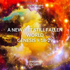 A New, Yet Still Fallen World: Genesis 9:18-29 — Text-Driven Tuesday