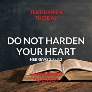 Do Not Harden You Heart — Text-Driven Tuesday